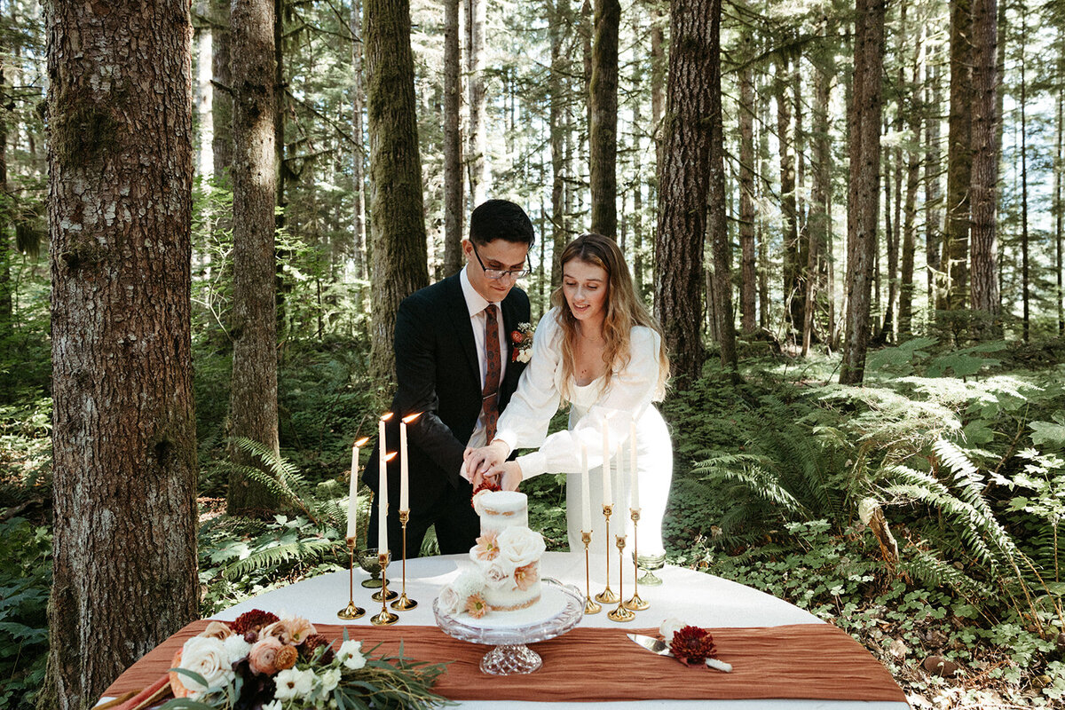 MtRainierSmallWedding-DallinHazard-527