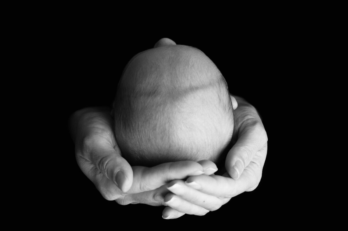 pretoria-newborn-photographer-260