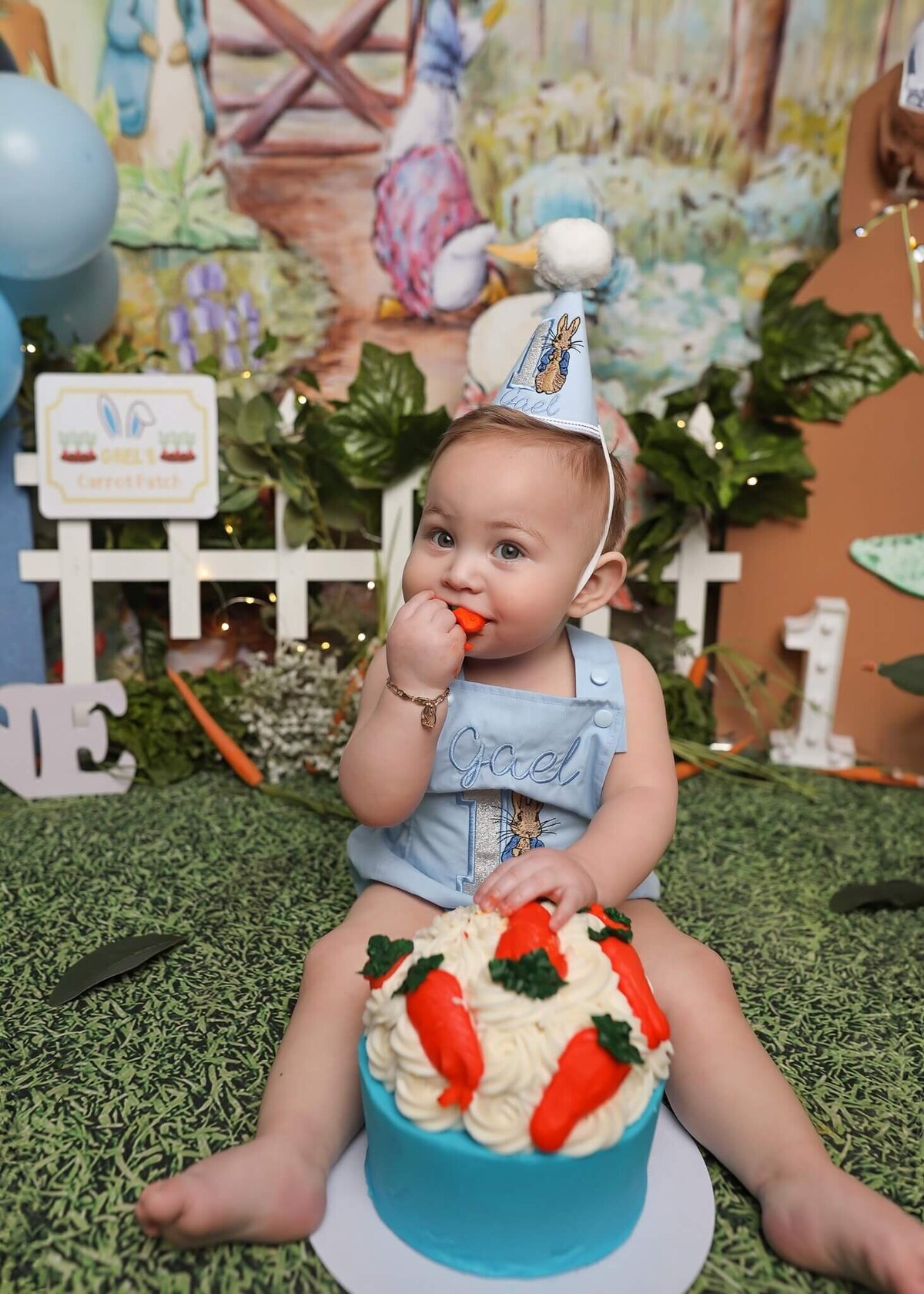 1stbirthdaypictures