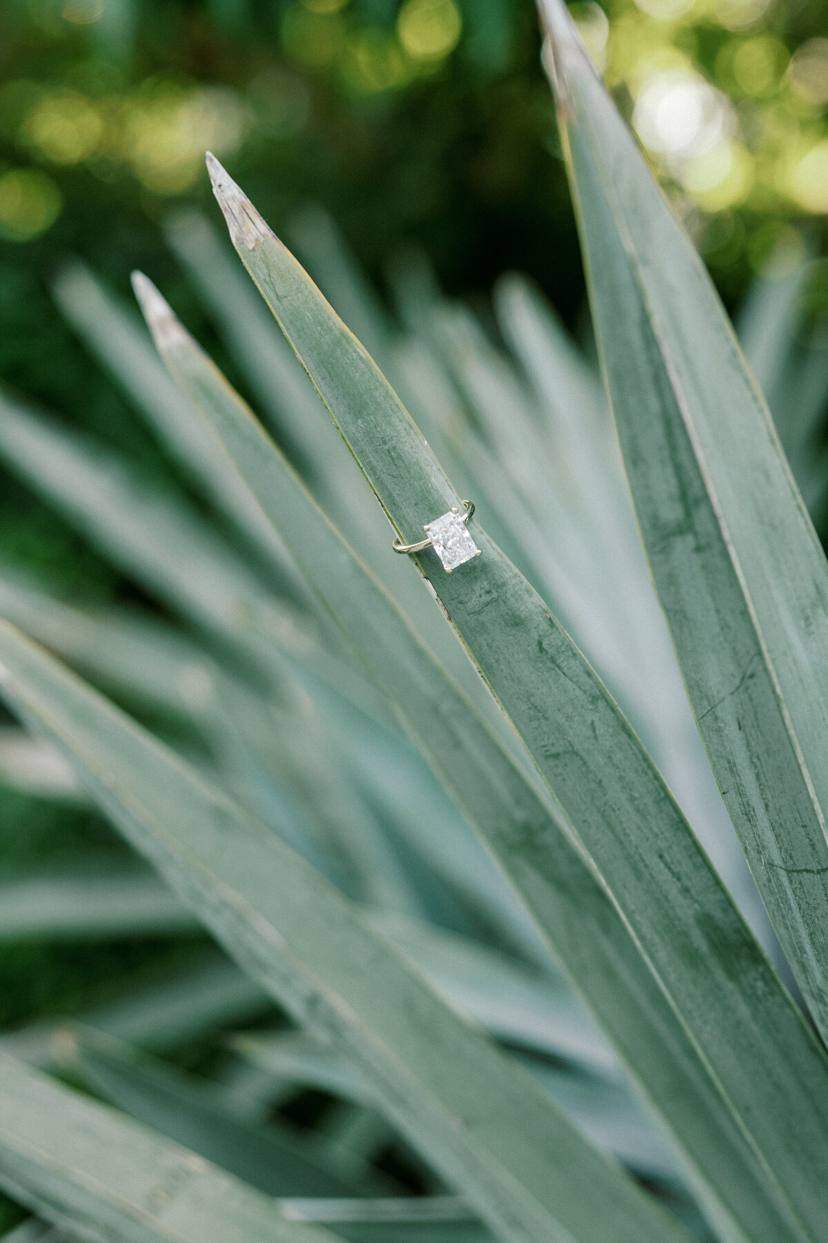 Diamond engagement ring on greenery, Columbus session by Philadelphia photographer.