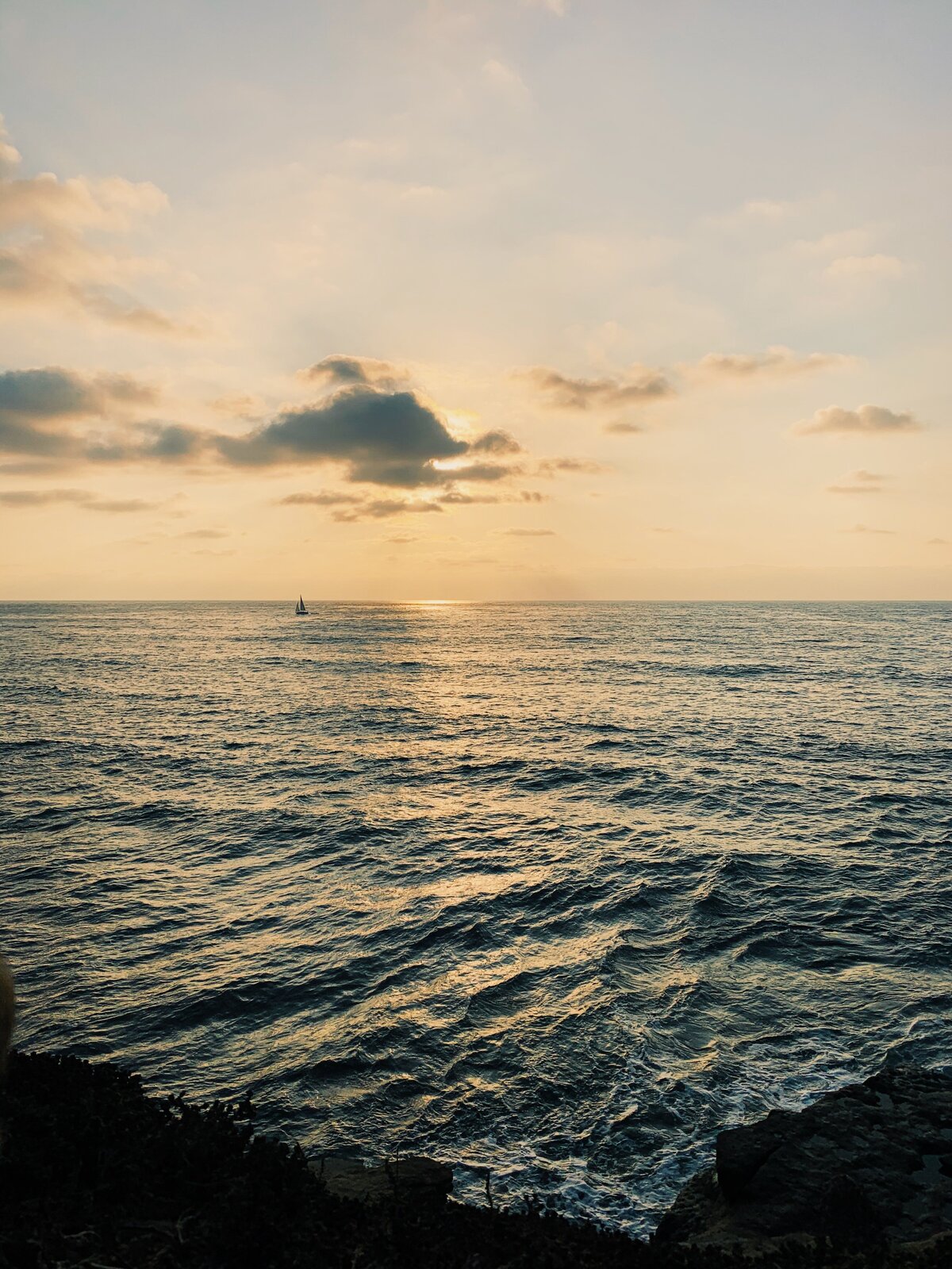 File_003(1)
