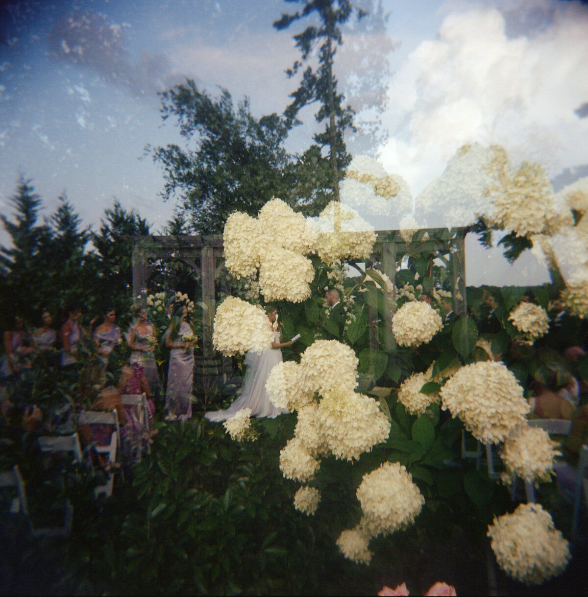 kodak_professional_portra_400_09_06_2024_000122640009