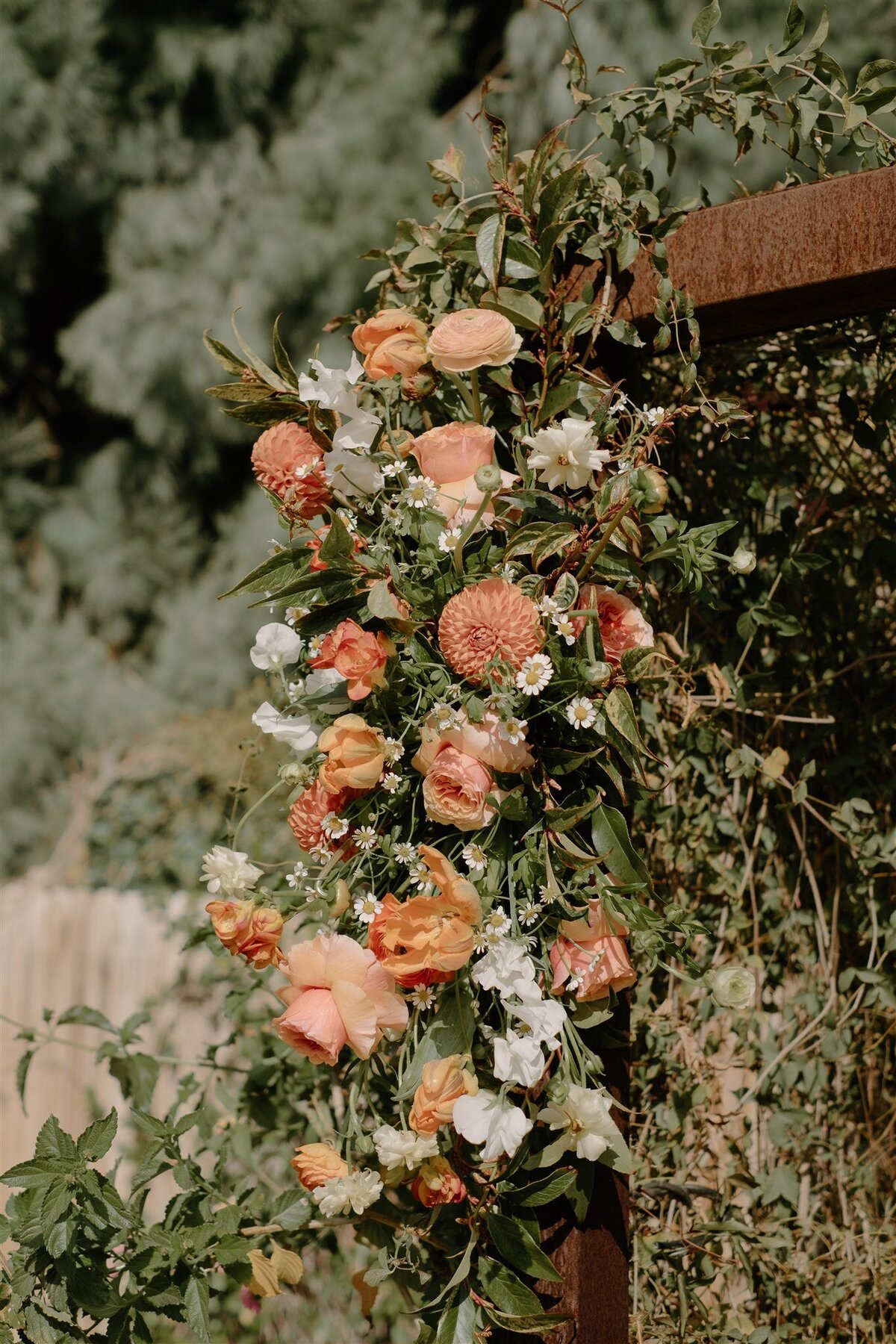 The-Farm-at-South-Mountain-Wedding-Portraits-Arizona-Annette-Ambrose-Photography-485