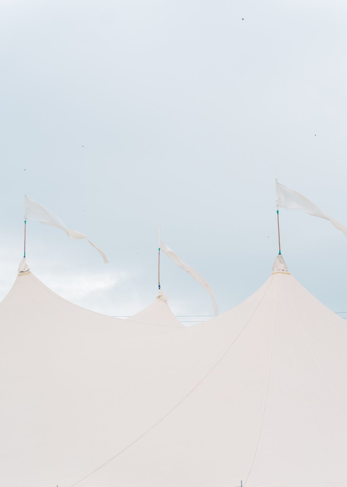 AbbySchuylerWedding_LF_1312