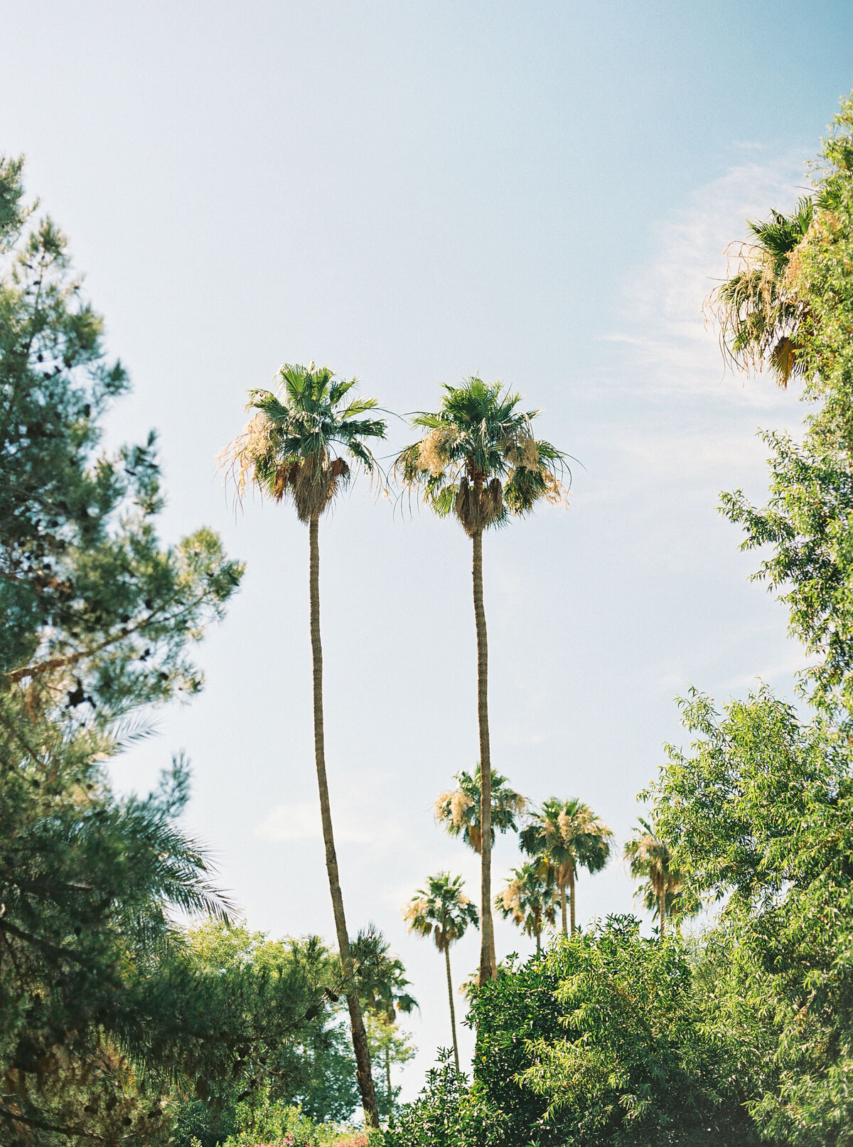 Olivia-Marshall-Palm-Springs-104