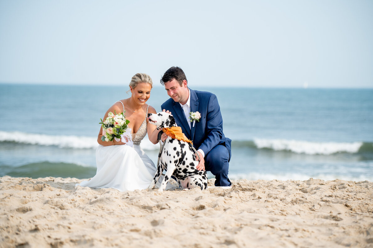 Bride and groom crouched on the beach petting their Dalmatian dog before their wedding ceremony at The Sea Shell Resort in Beach Haven NJ. Captured by their Jersey Shore wedding photographer.