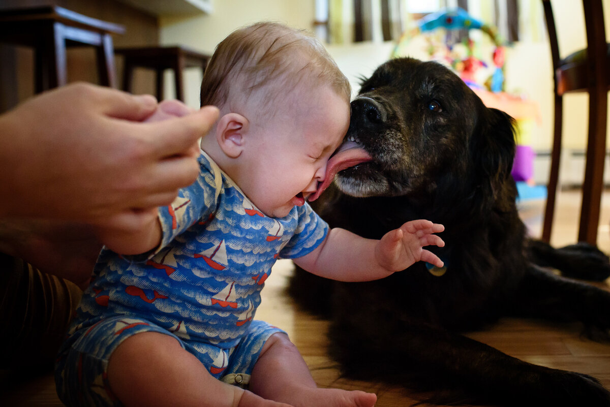 Vermont-Family-Photographers-10