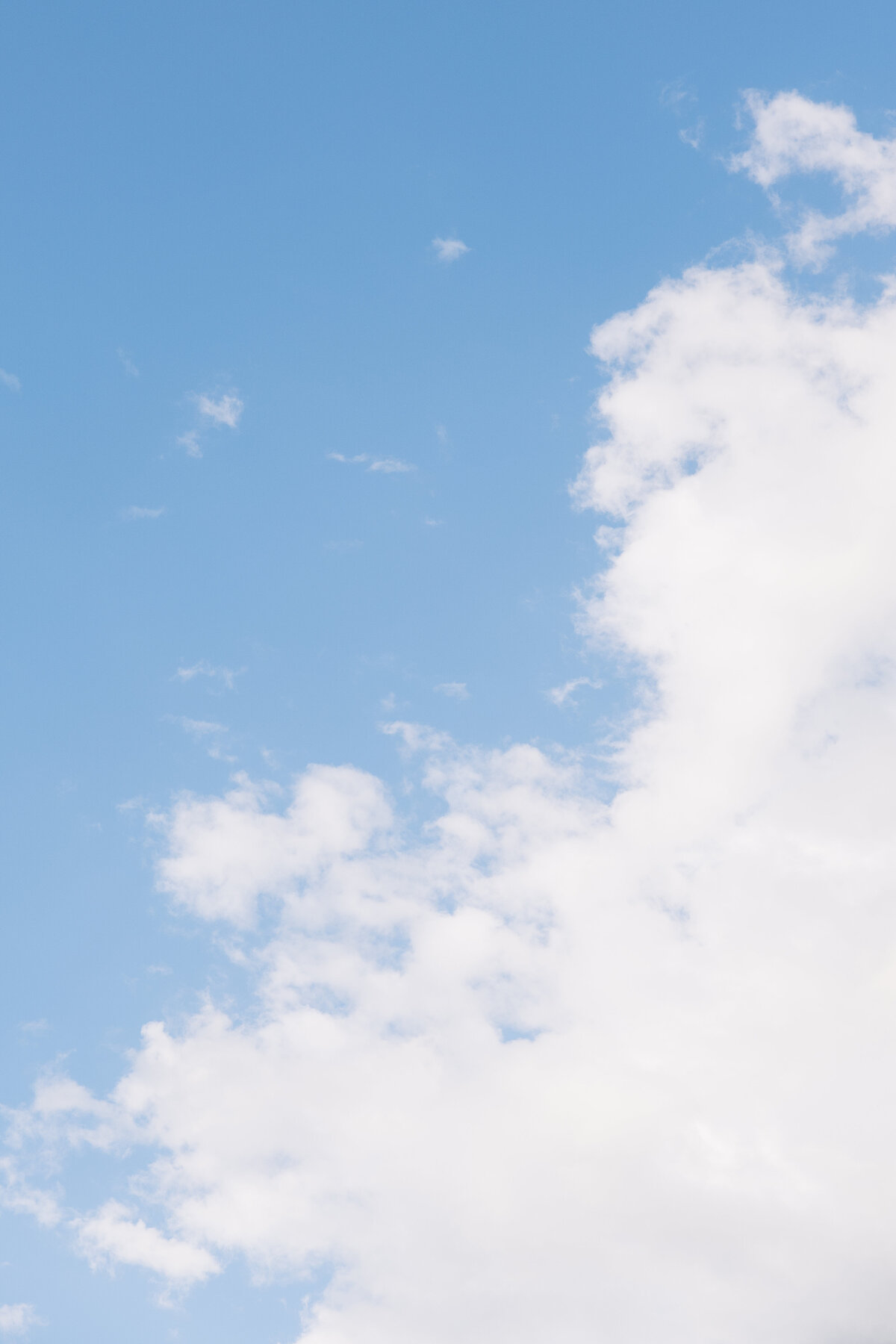 EBP_KGFULLGALLERY-1176