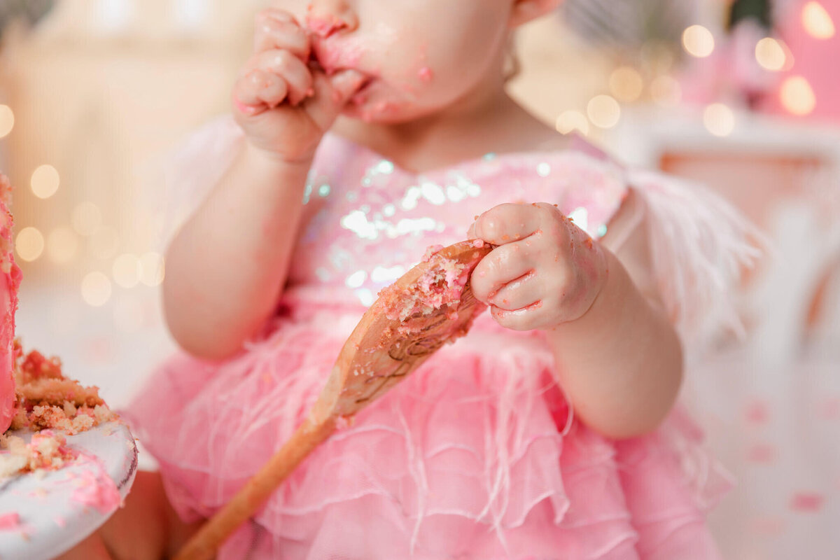 new-jersey-smash-cake-photographer-61