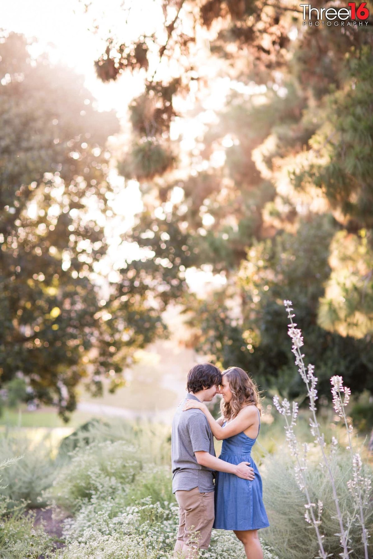 Tender moment between Engaged couple in a nature field