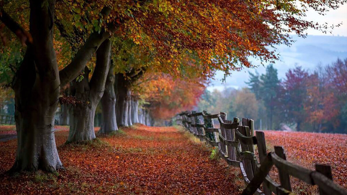 belle-vie-luxury-womens-retreat-cotswolds-england-201
