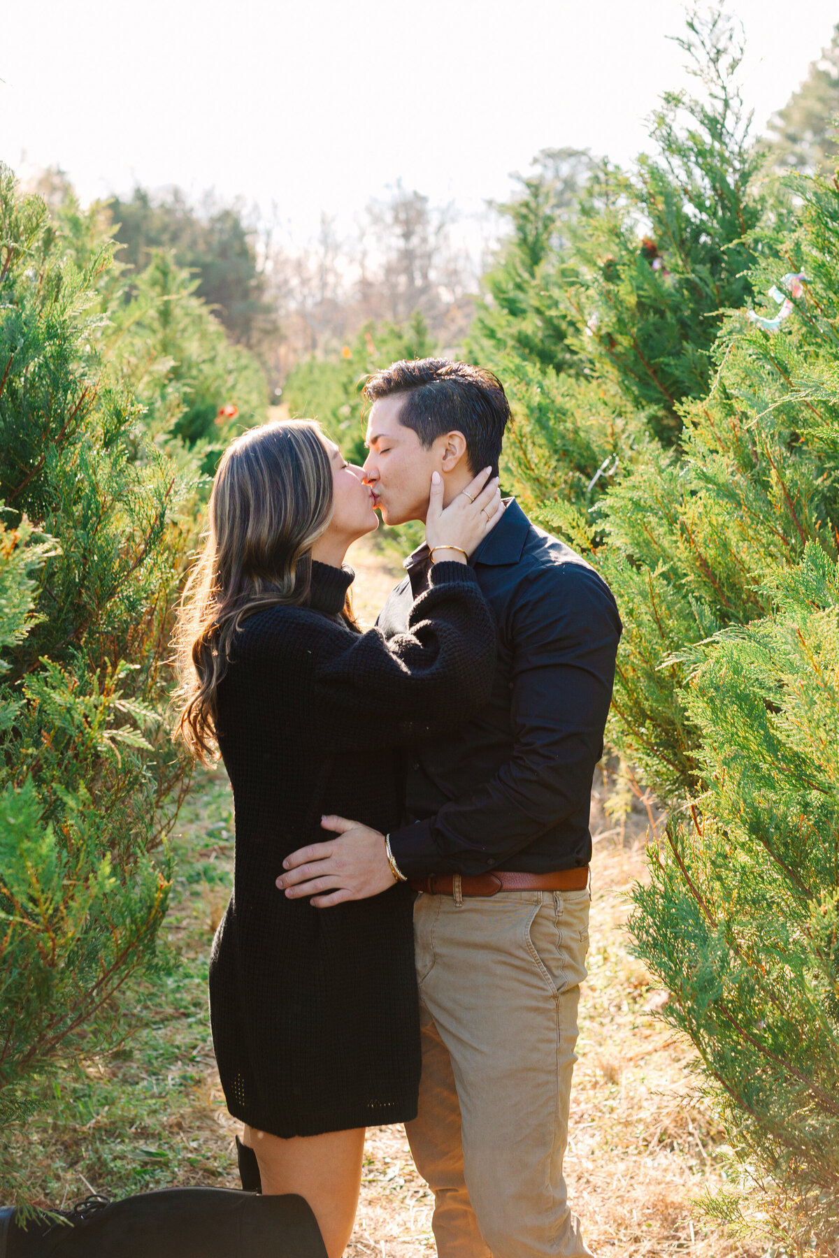 ChristmasTreeFarmMinis_RachaelReidPhotography_-2