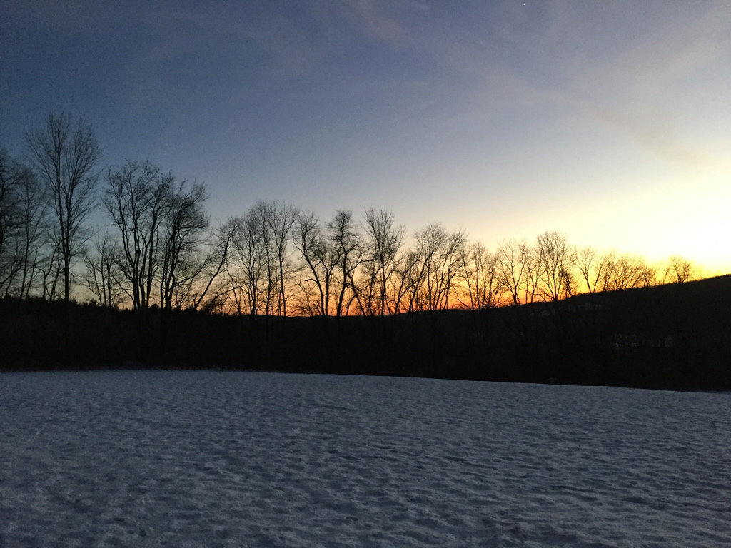 coldsunset
