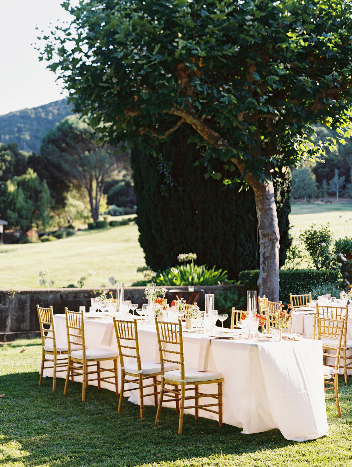 BreJanePhotography-Steph-Will-Wedding-StonePineEstate486