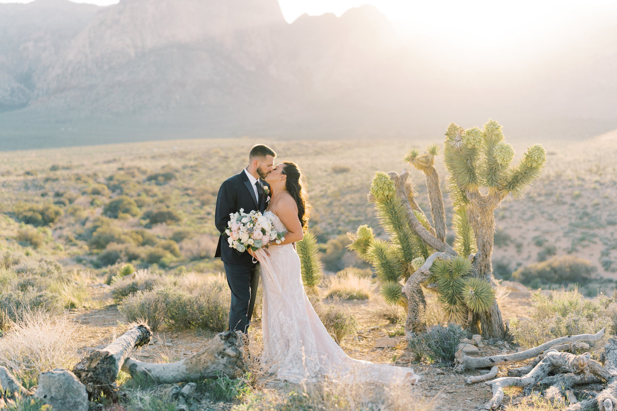 m+jelopement287
