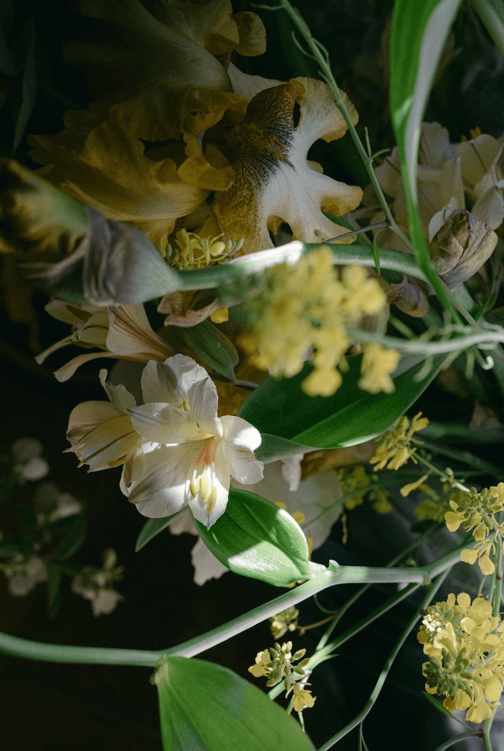 Screenshot 2025-11-25 at 11.57.33 AM