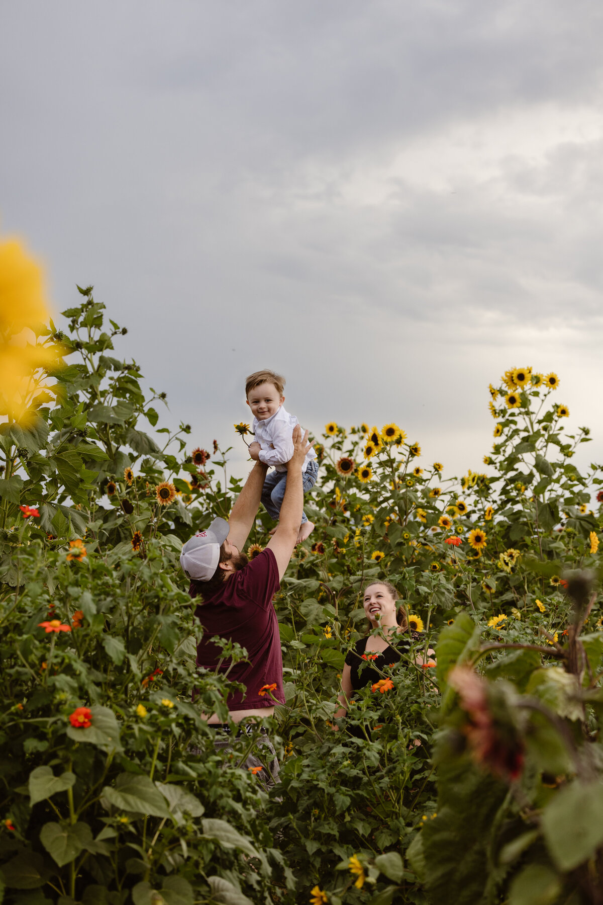 Goberis and Sunflowers-Simply Cassandra-27