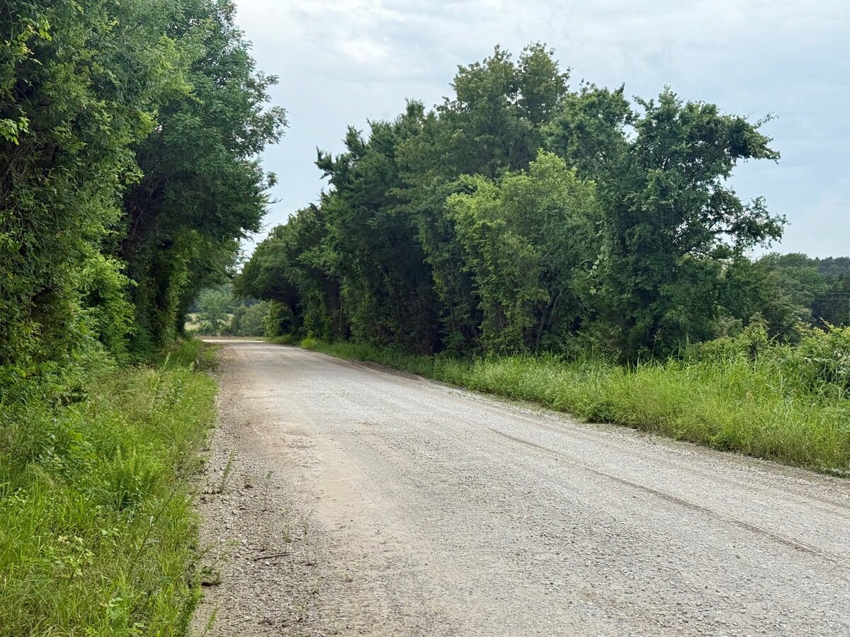 33.6 acres of treed land near Rock Creek Expansion for sale