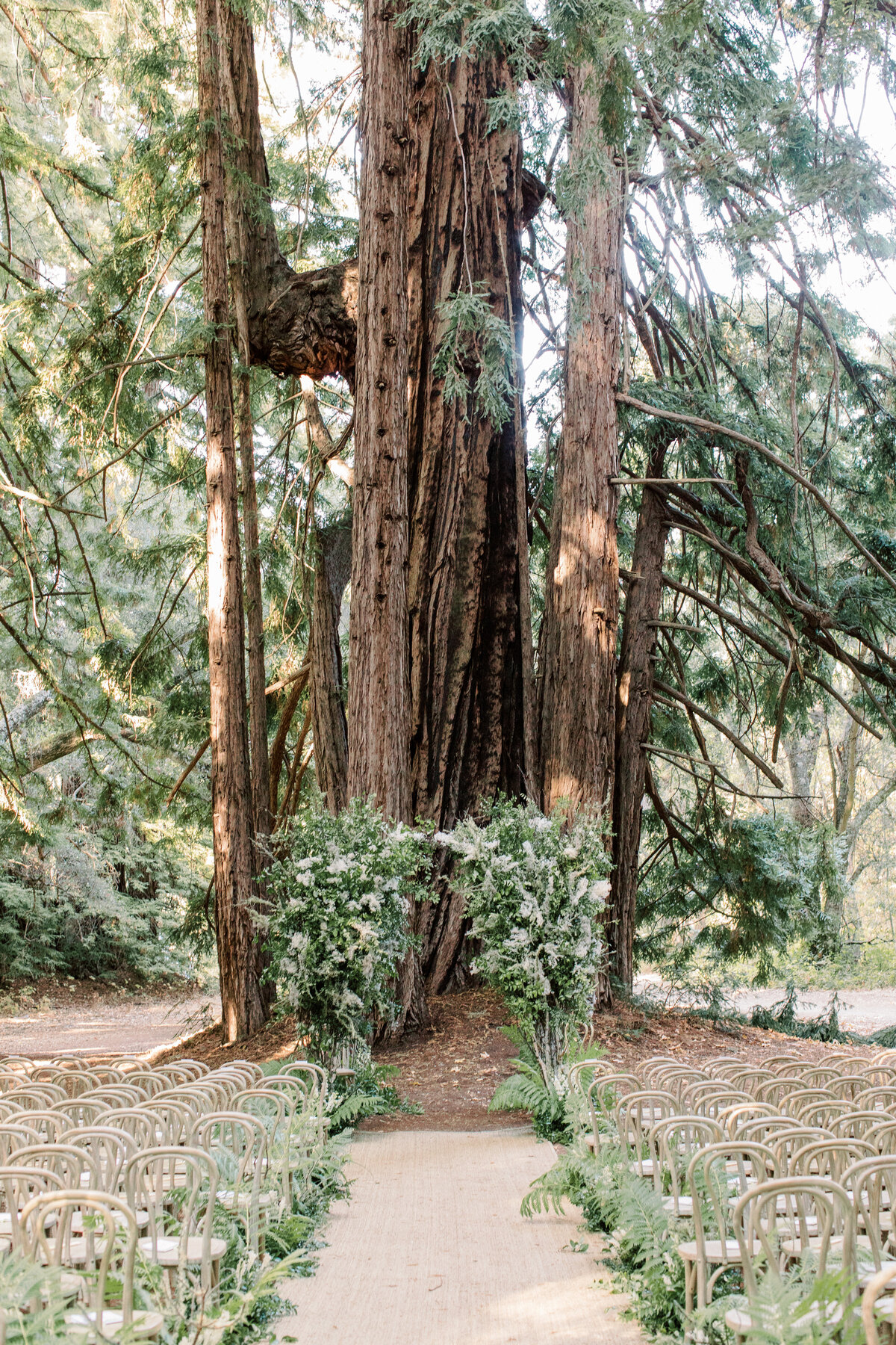 K&Mwedding-0291