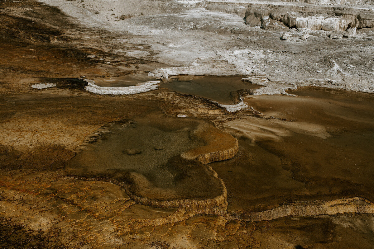 east-yellowstone-wedding2