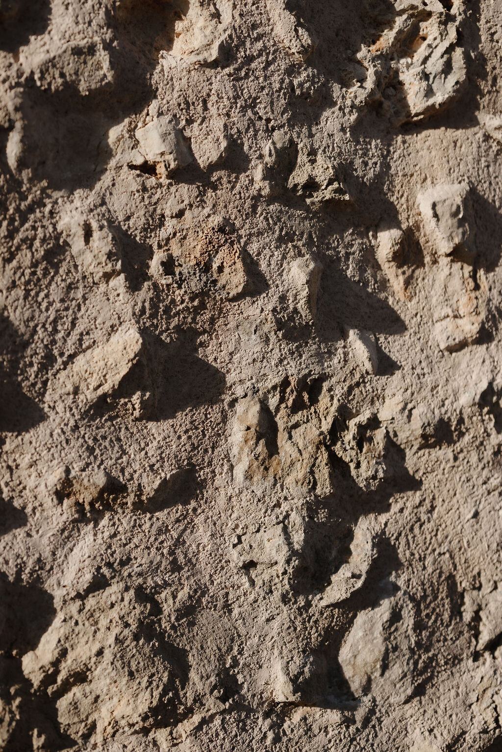 THE AWAKENING ° MIMI FIEDLER  ° FIFTY