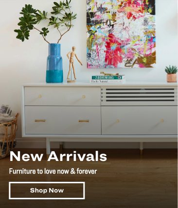 Apt2B_New Arrivals Site Pic