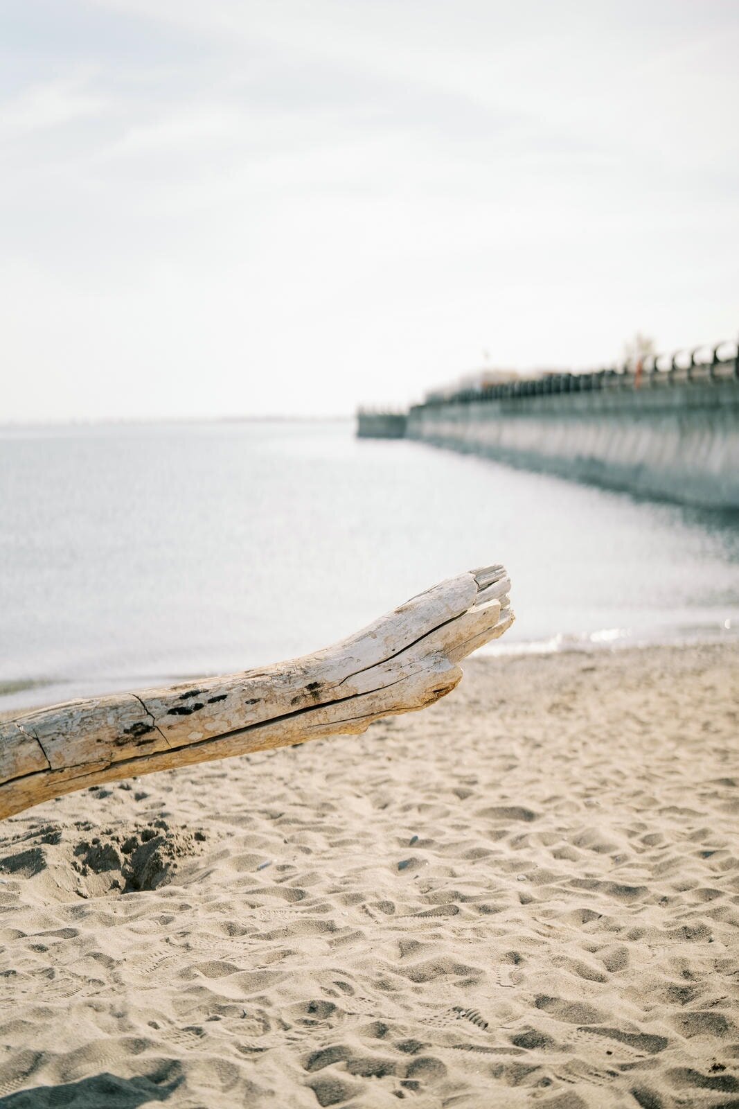 Photo for print-1024