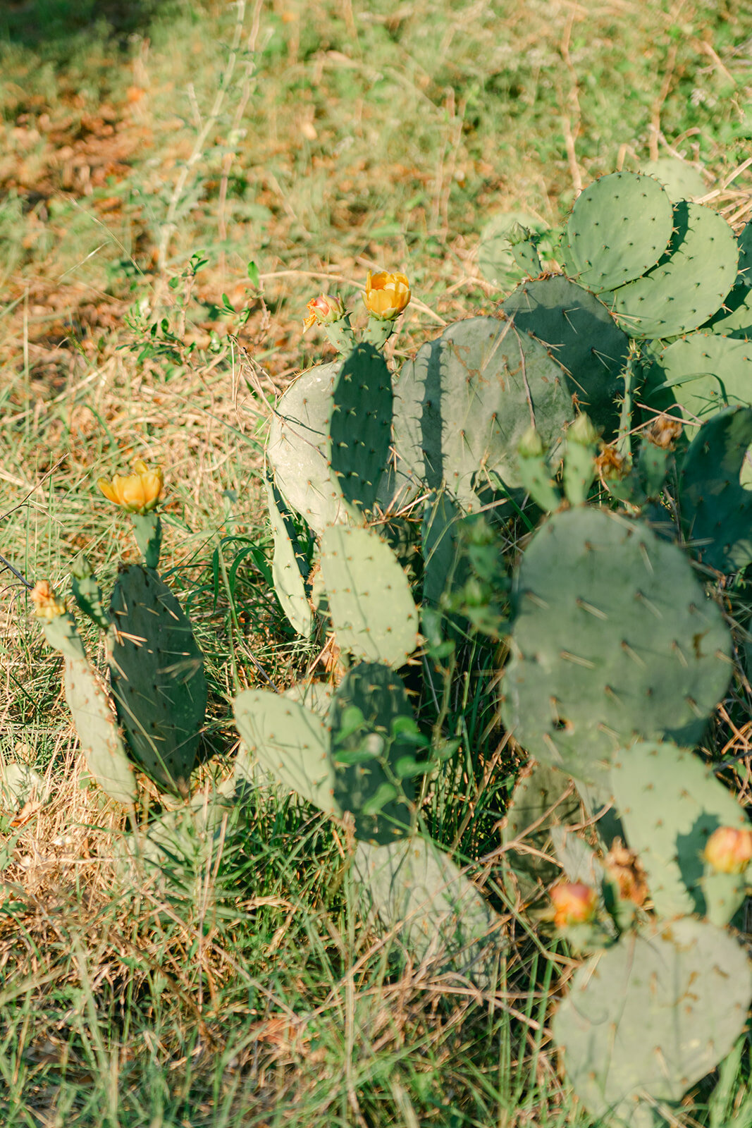 Luxury_Wedding_Photographer_Texas_Erin_Marcin_Photography_Film-75
