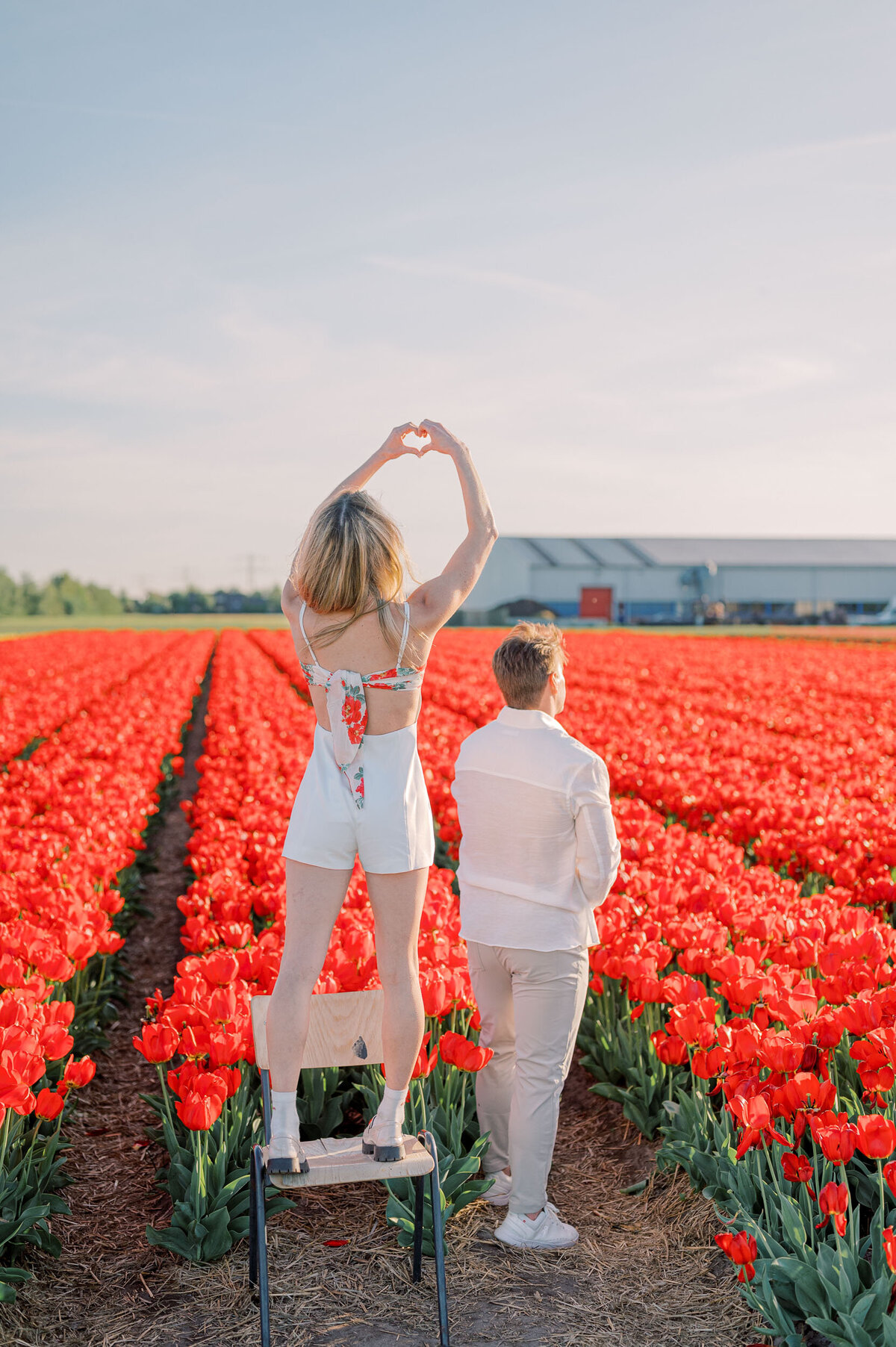 tulip-field-proposal-amsterdam-104