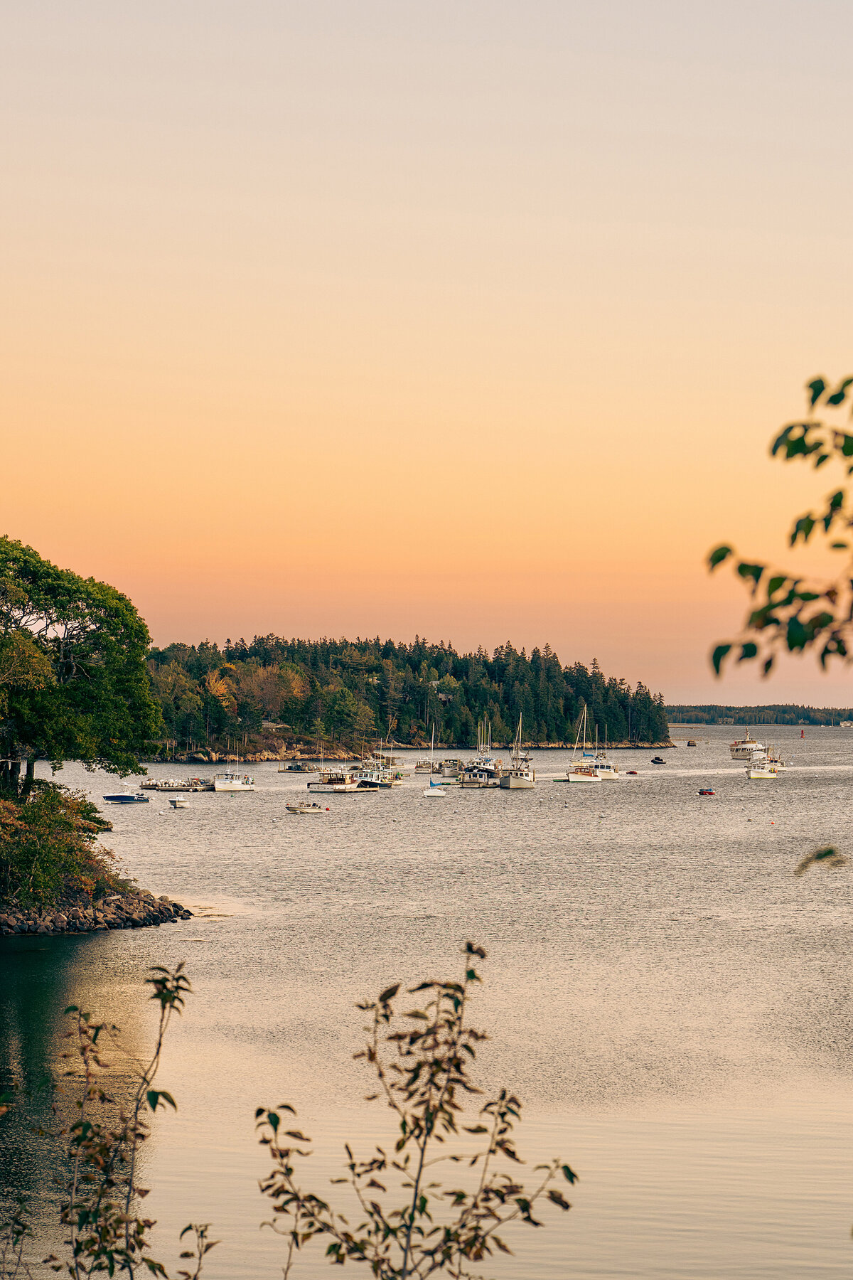 Clarke-Narrative-10125-121