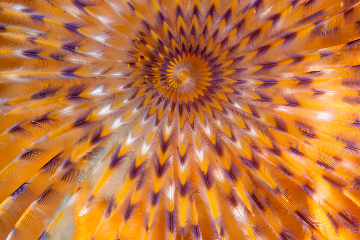 12102021-DSC_4852