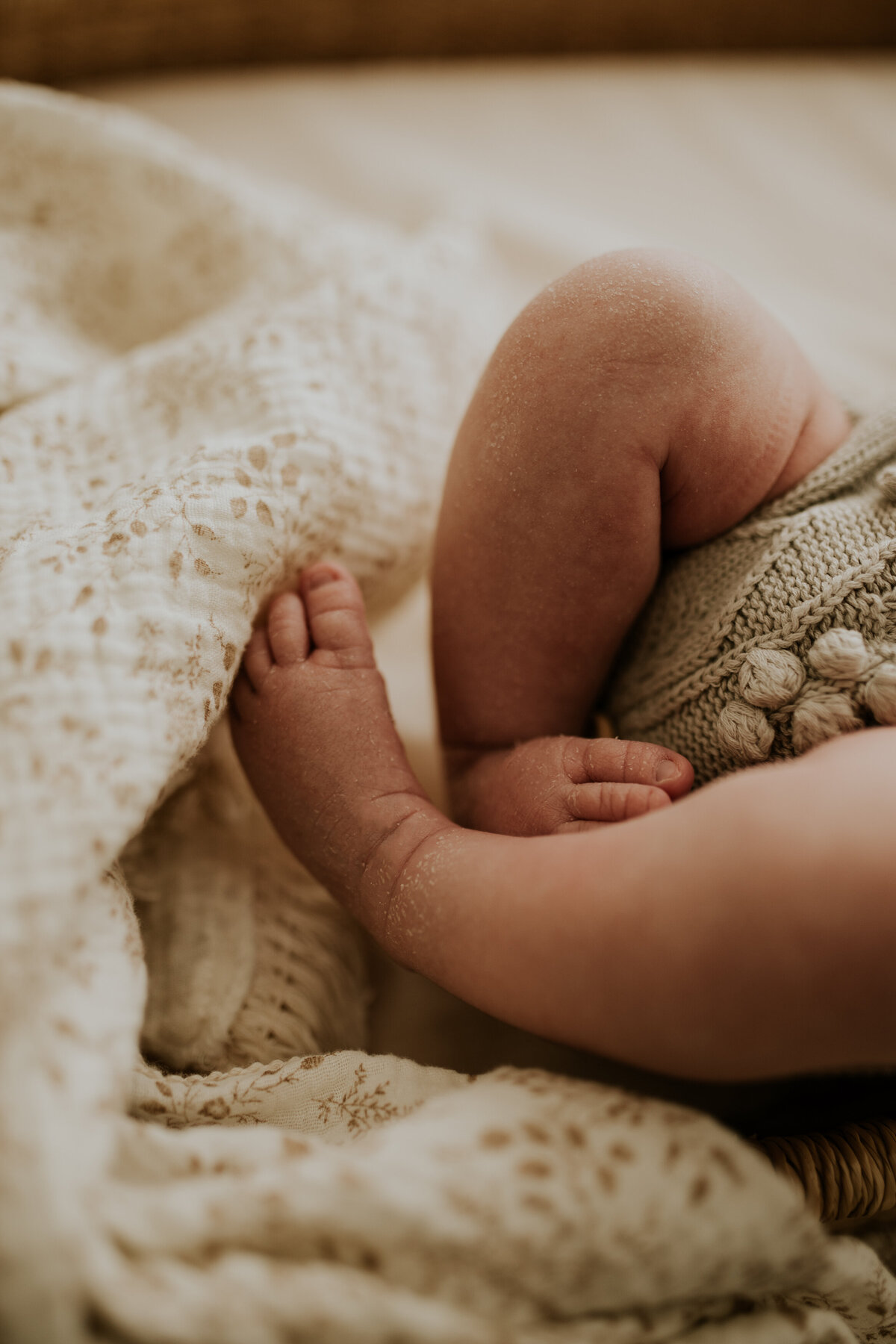 Red Deer Newborn Baby Photographer 133