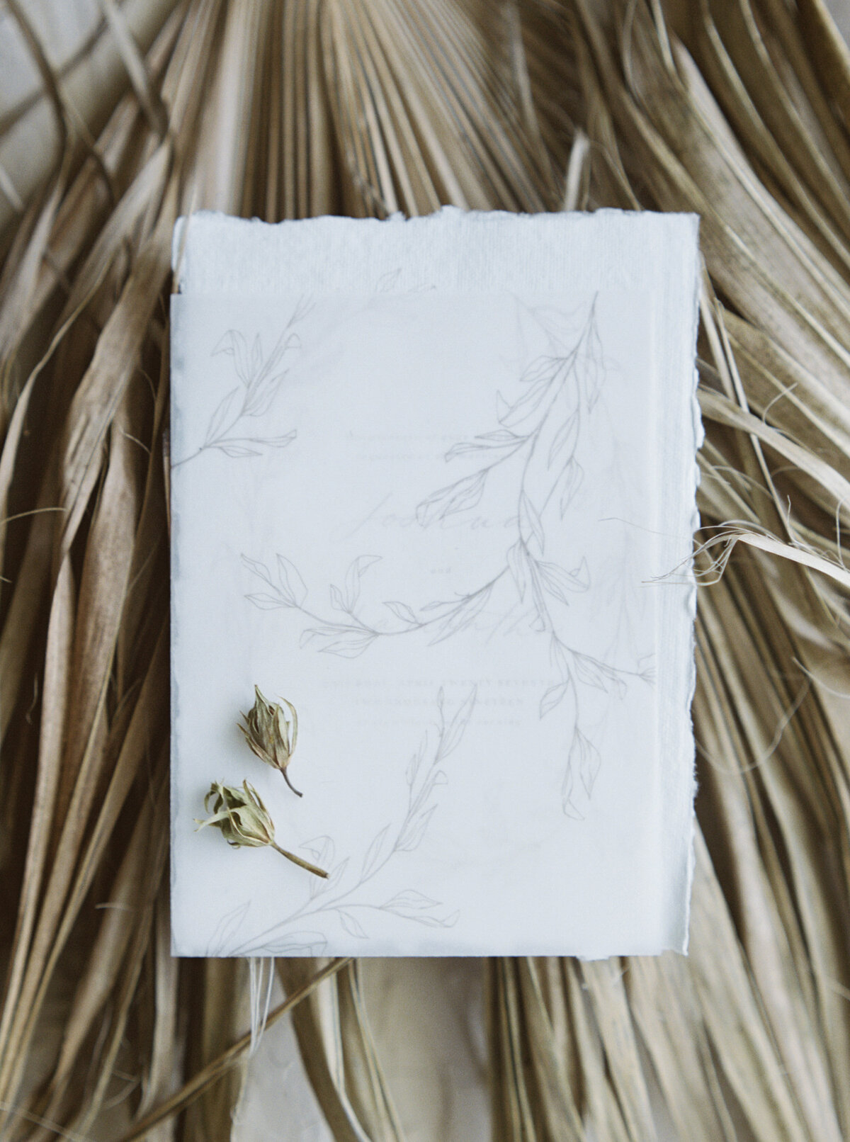 Some rough paper sits on a dead palm leaf.