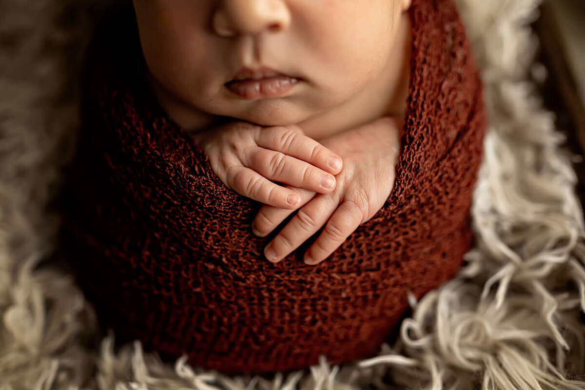 newborn-family-toddler-session-bloomington-illinois-3