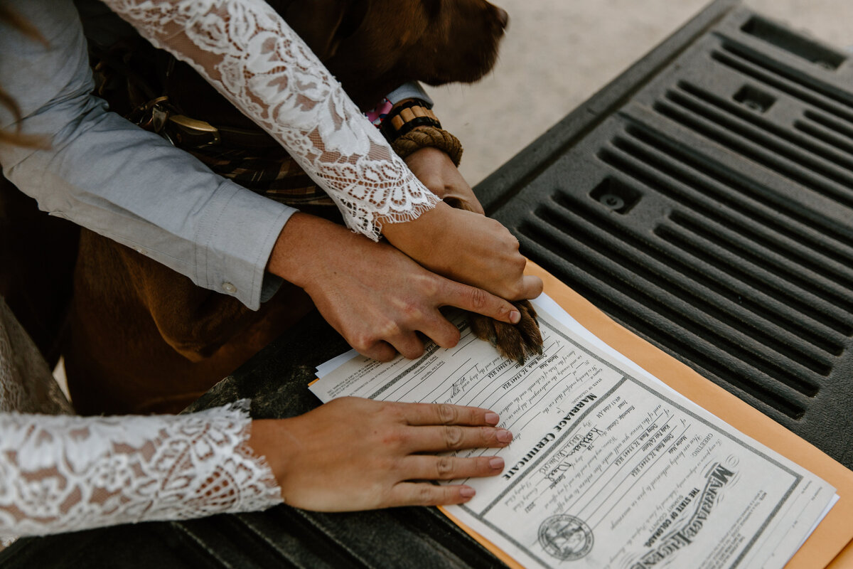 marriage license colorado