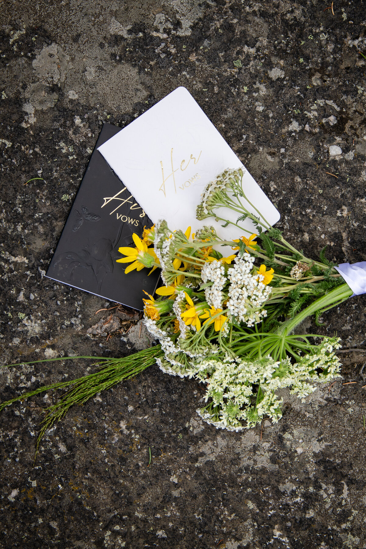 KMPhotography_T&CJasperElopement37