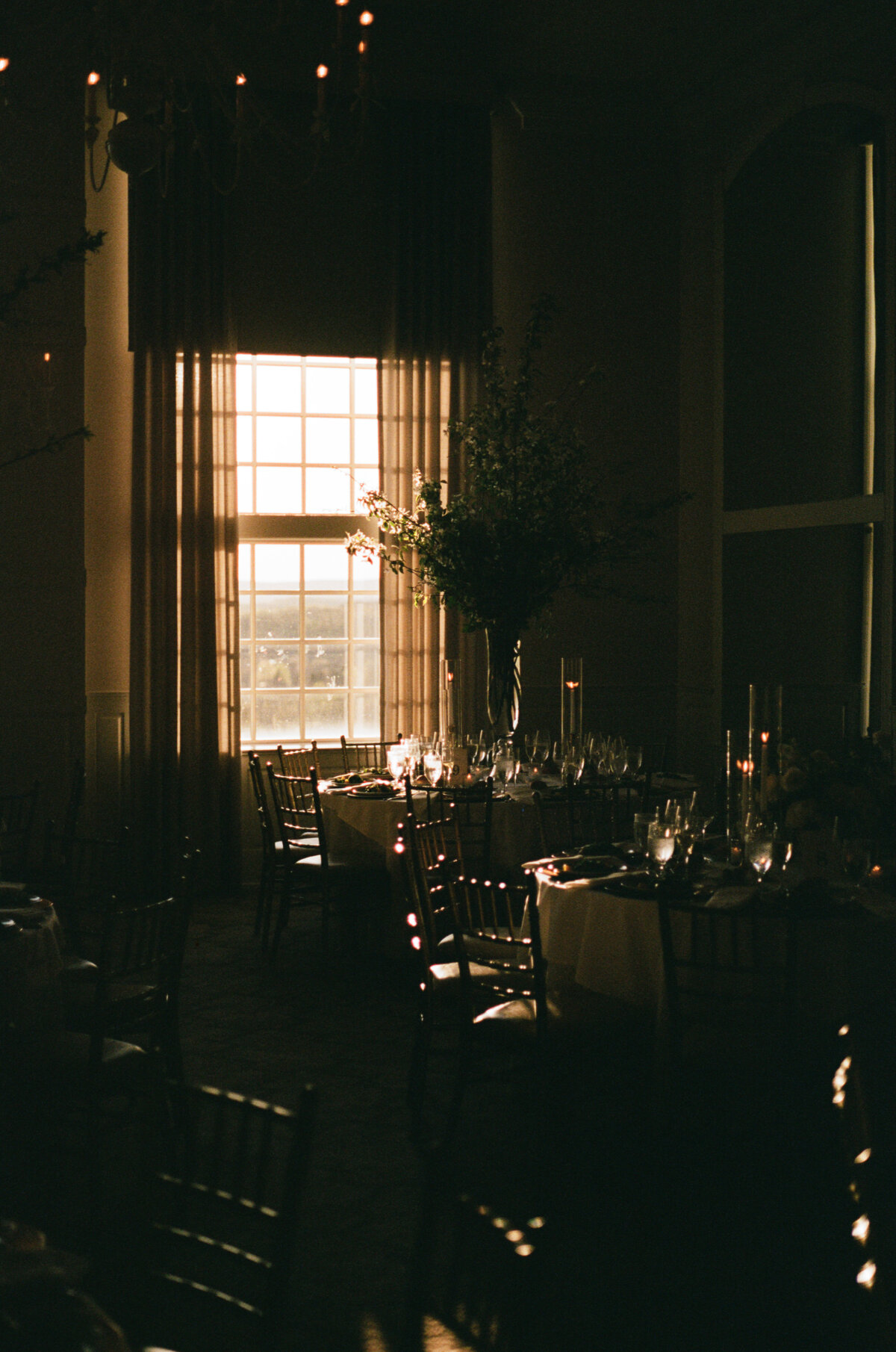 kodak_professional_portra_400_04_28_2025_000239160024