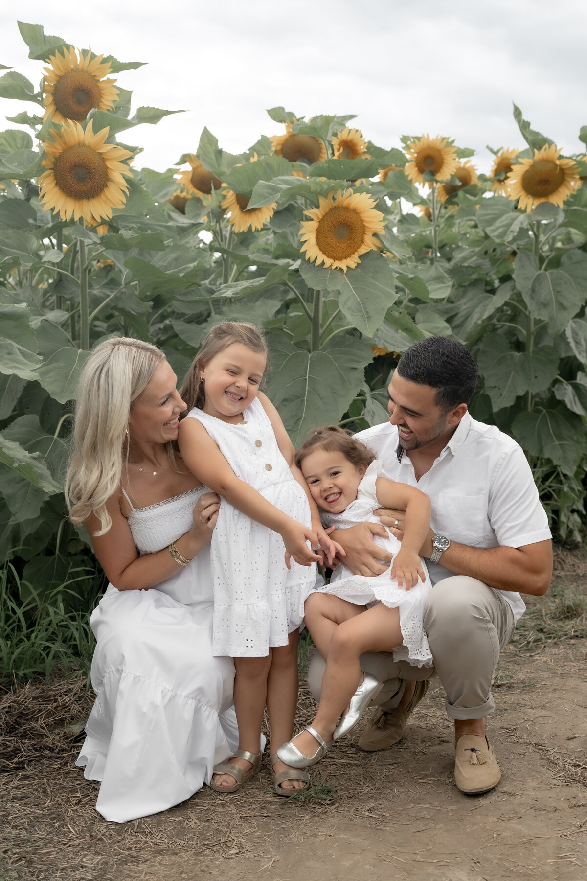 Sunflower Minis - Nadine-3
