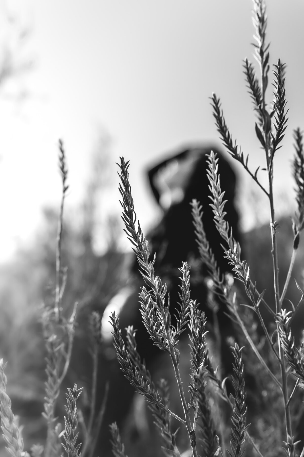 Elona Shea Photography_lake Havasu_Arizona_Family_maternity photographer_castle_rock_bay_ Photographer_Marky-5