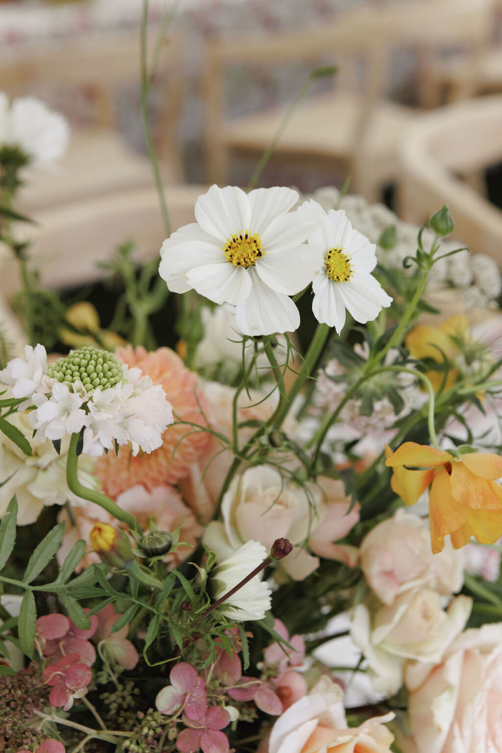 Attabara Studio Luxury Wedding Planner at Wilderness Reserve1-626