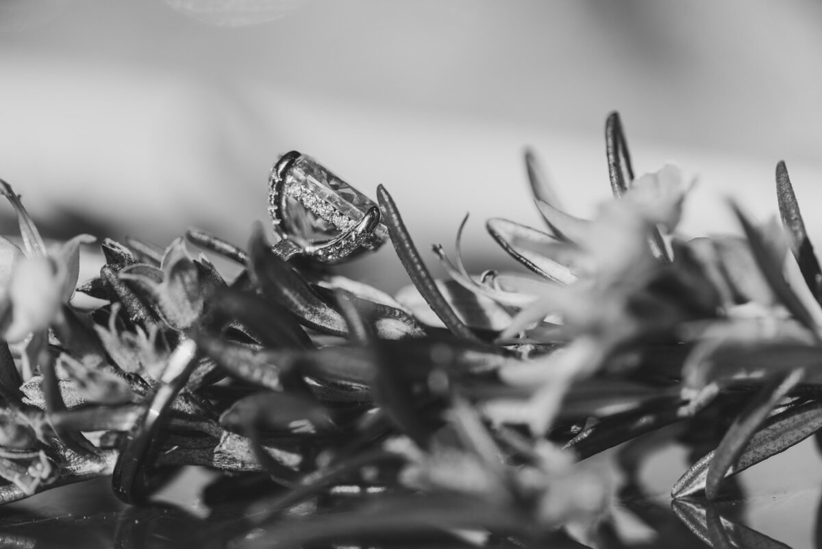 An engagement ring sits atop greenery.