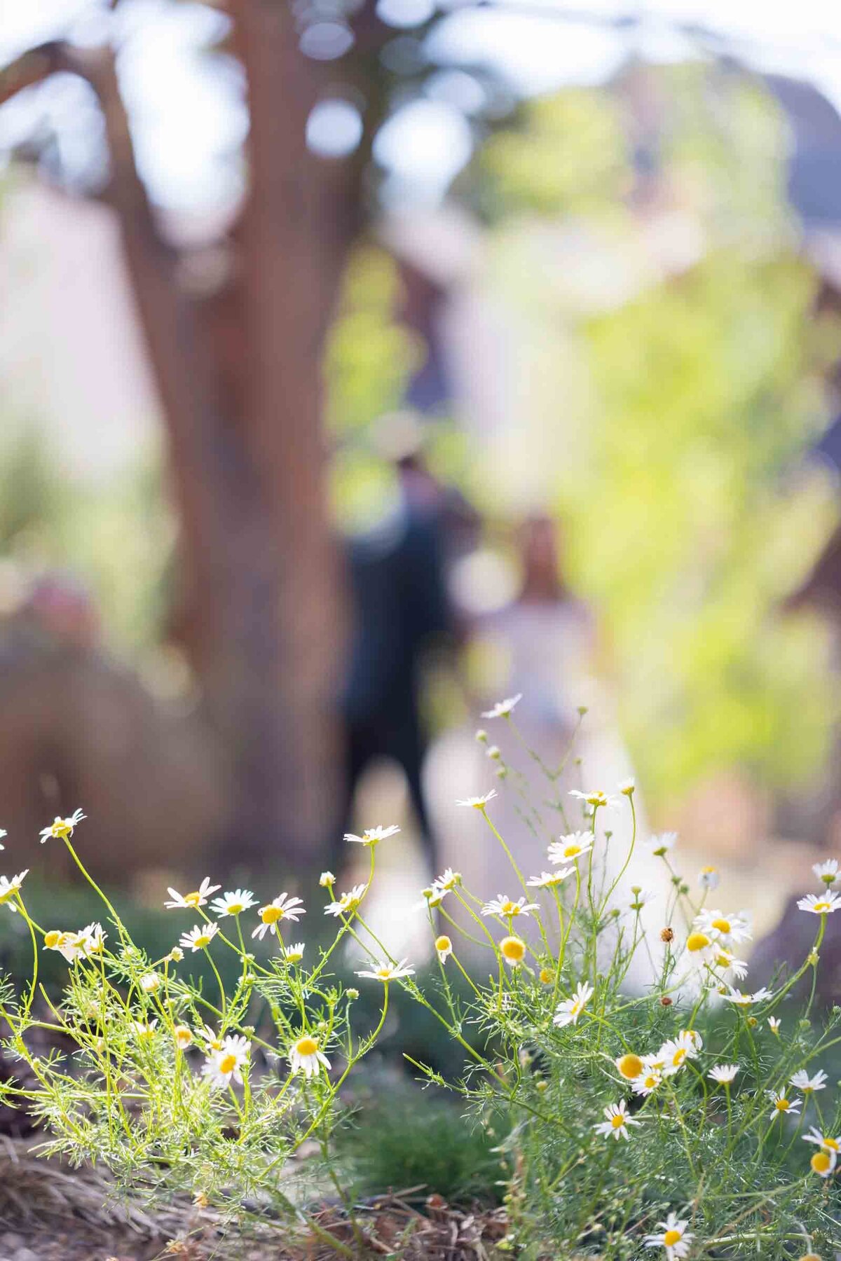 Autumn-Wedding-Estes-Park-28