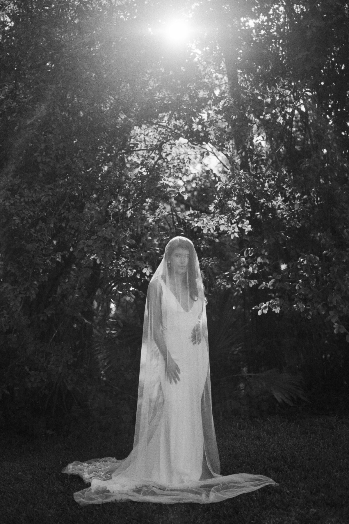 Bride covered by veil standing in froont of tress black and white