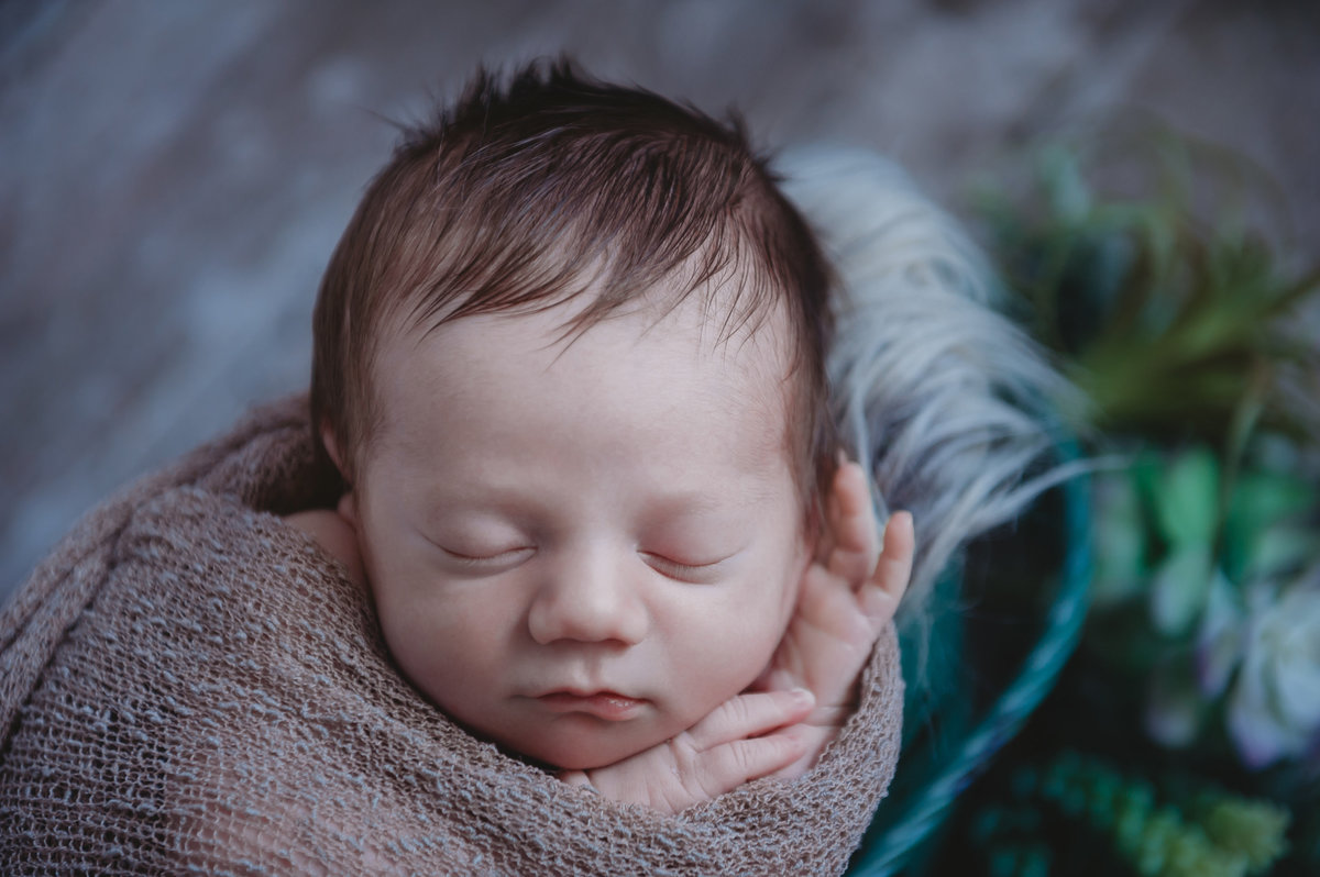 newborn photographer pictures southern illinois