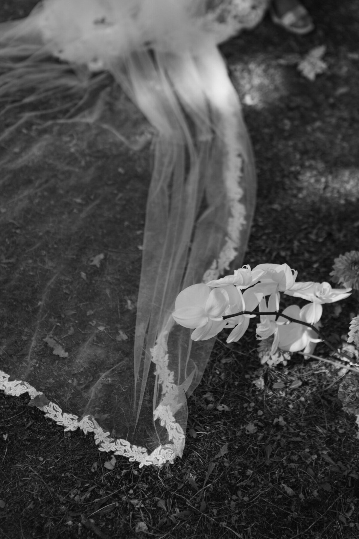 AM-Editorial-20251004-046