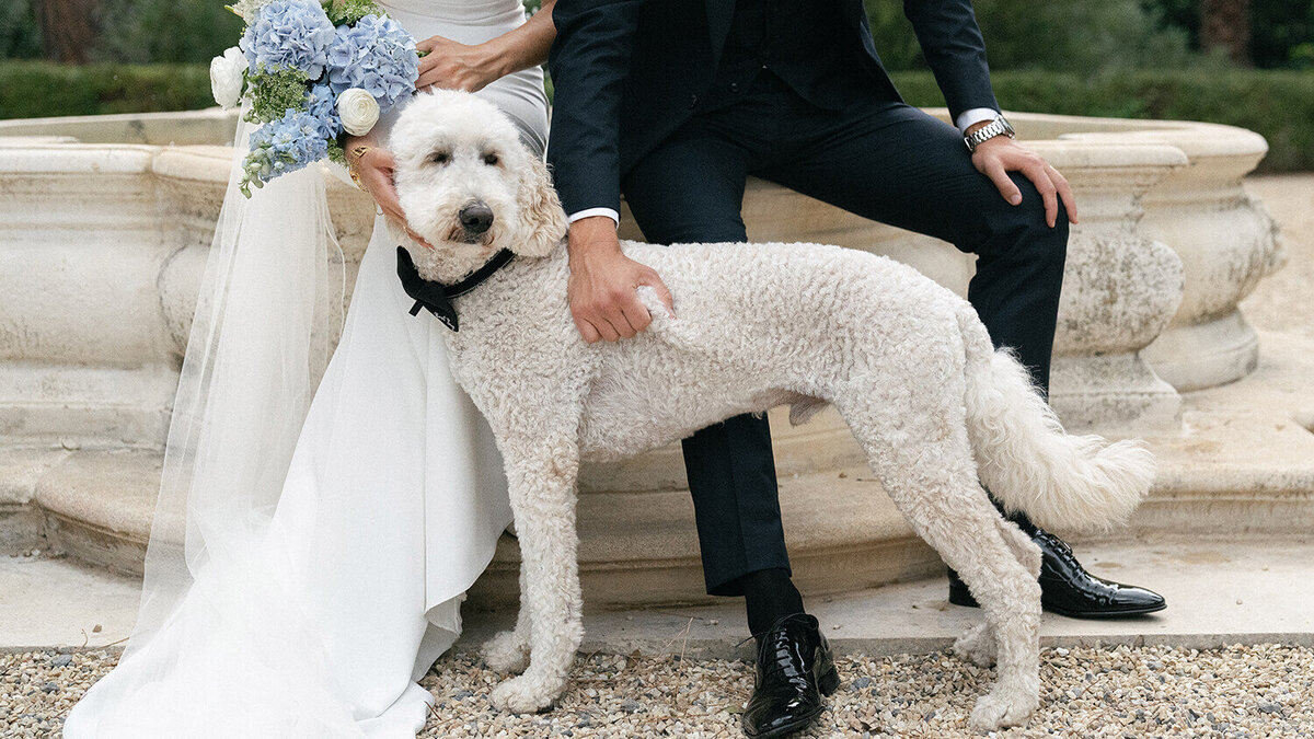 Château Hermitage de Combas Wedding