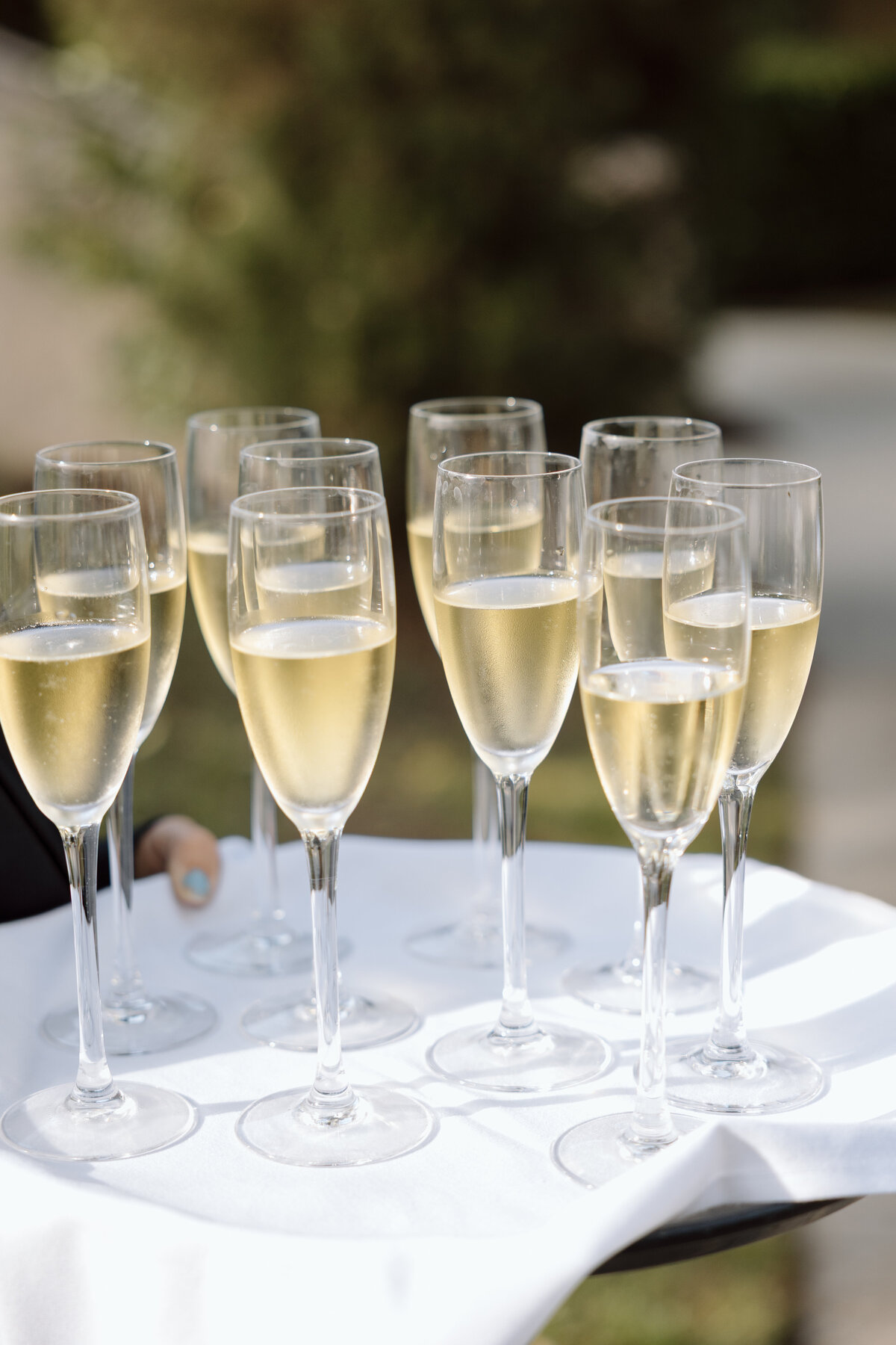 San Diego Wedding Photographer-23