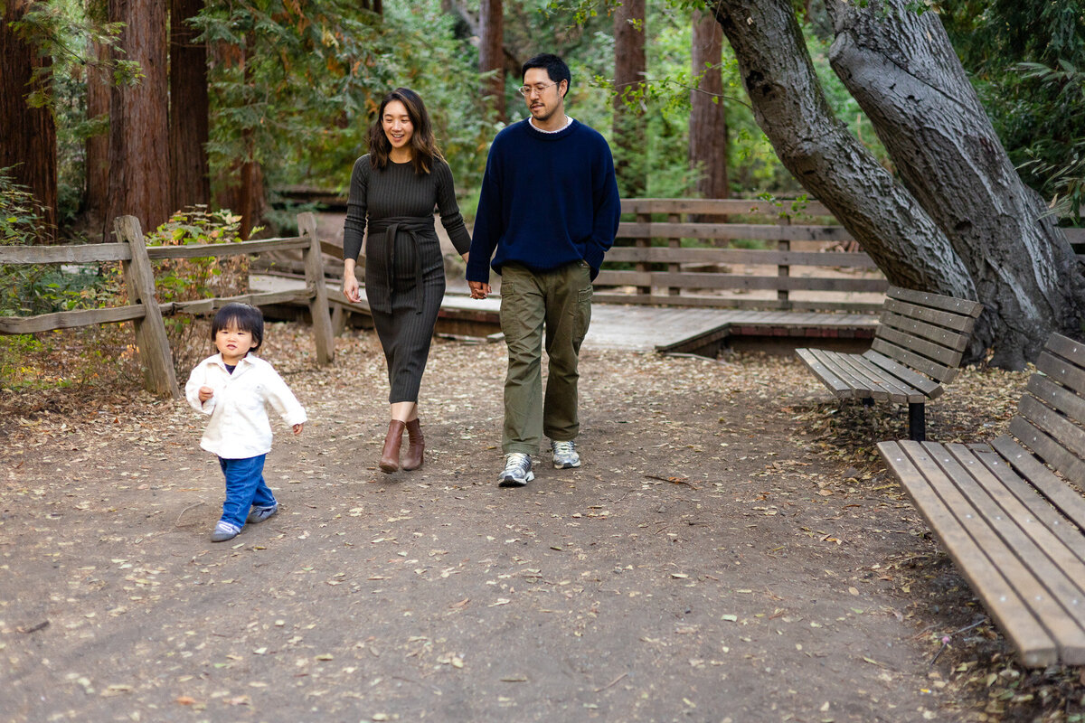 Family walking together on a forest trail with toddler leading the way – Bay Area Family Portfolio | Ellobelle Photography