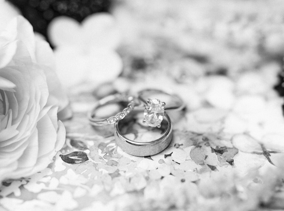 2024_07_06 Tessa & Inyang Wedding-web-00005