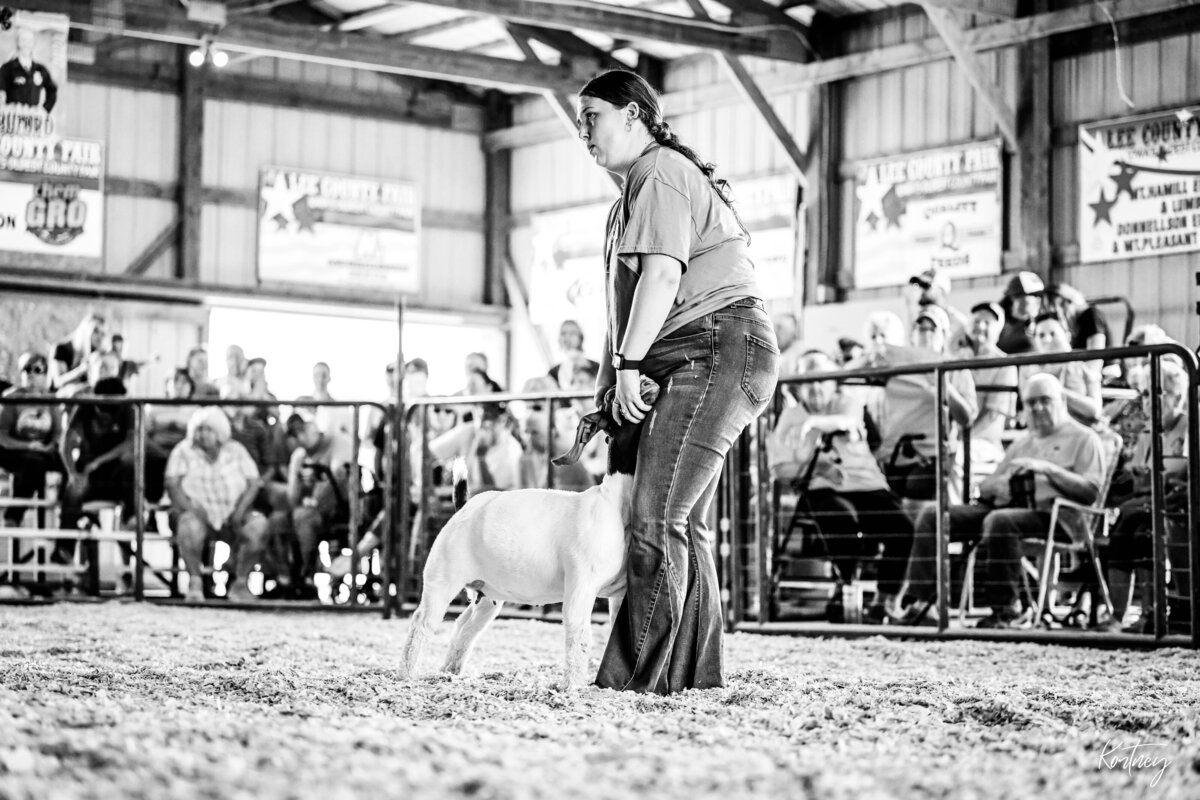 girl bracing goat during show